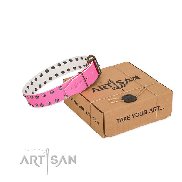 Best quality natural leather dog collar with adornments for your attractive canine