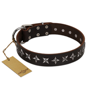 "Stars of Glory" FDT Artisan Brown Leather Pitbull Collar for Comfortable Walking