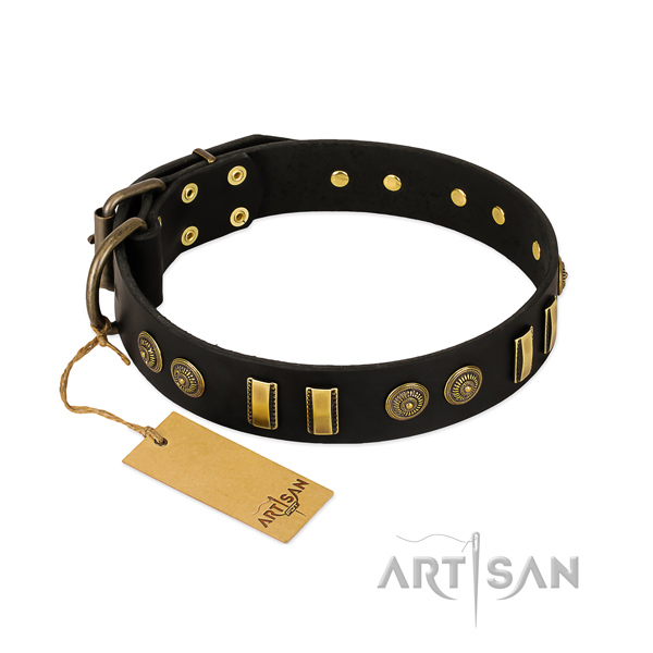 Corrosion proof buckle on natural leather dog collar for your dog