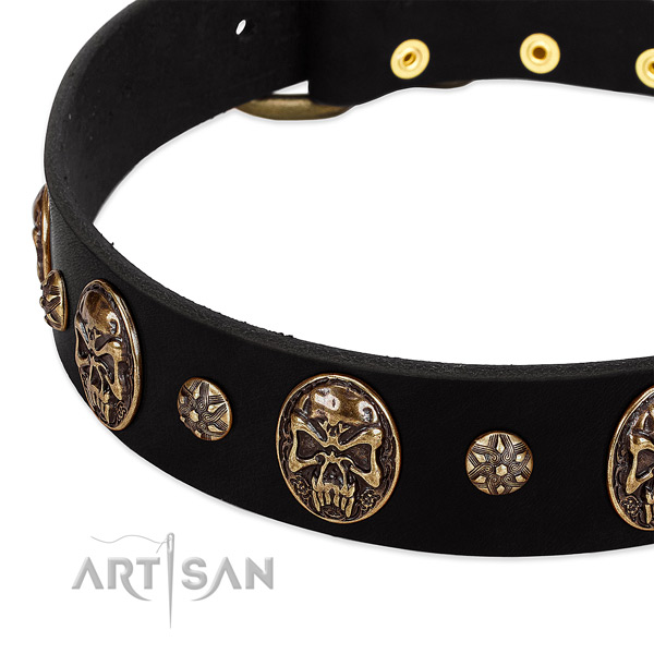 Rust-proof decorations on leather dog collar for your doggie