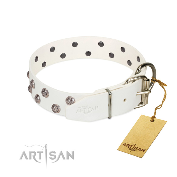 Rust resistant buckle on adorned full grain leather dog collar