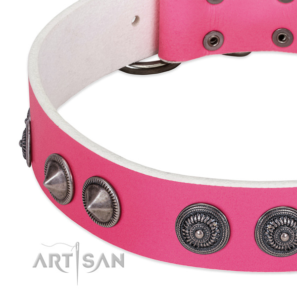 Designer leather collar with studs for your doggie