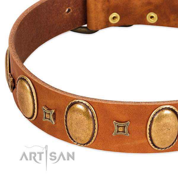 Natural leather dog collar with corrosion proof buckle for comfortable wearing