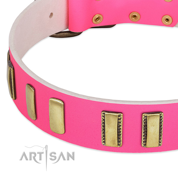 Reliable full grain natural leather dog collar with decorations for comfy wearing