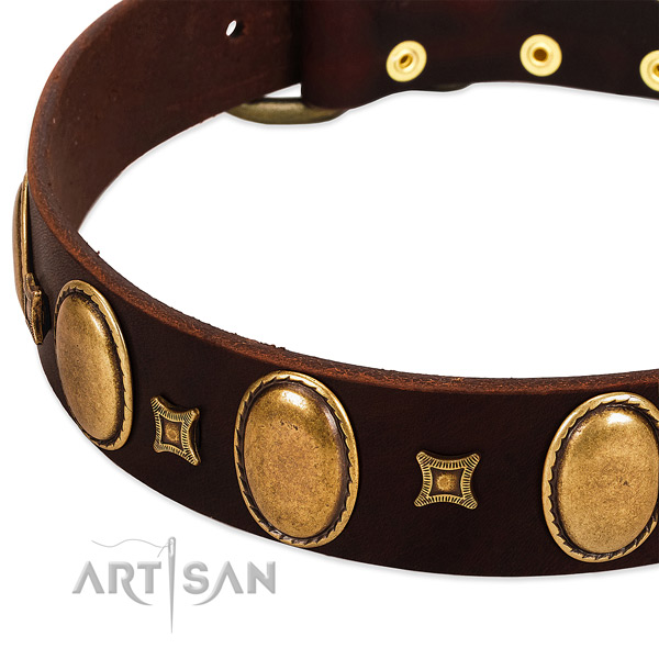 Natural leather dog collar with reliable buckle for daily use