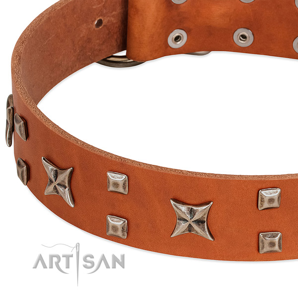 Reliable genuine leather dog collar with studs for comfortable wearing