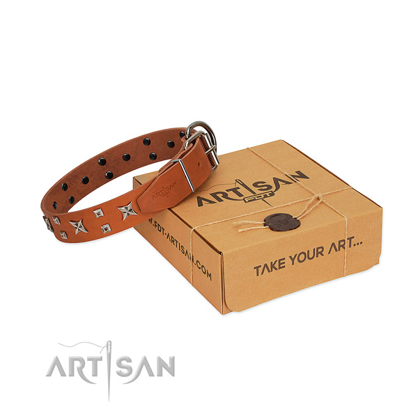 Quality leather dog collar with studs for everyday walking