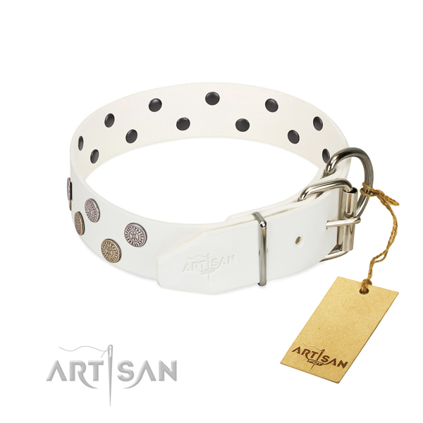 Designer decorations on leather collar for your doggie