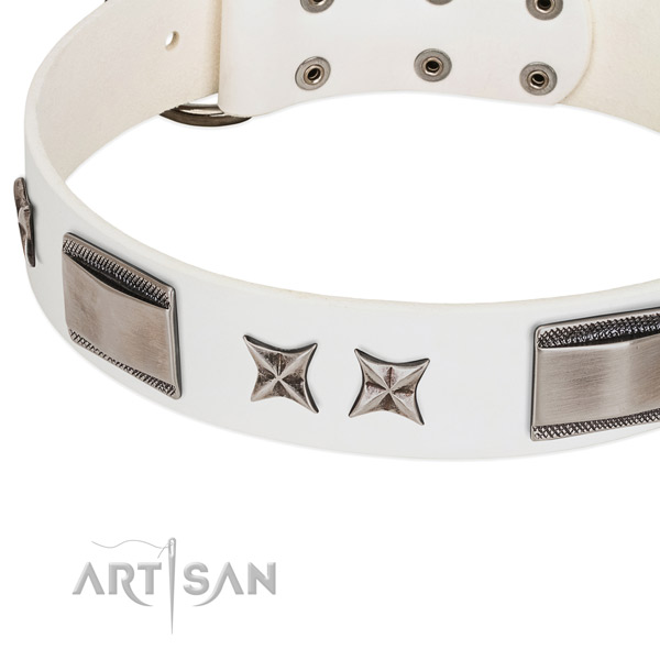 Quality genuine leather dog collar with rust-proof D-ring