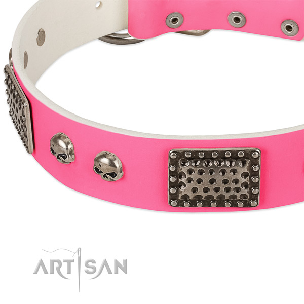 Rust resistant studs on leather dog collar for your doggie