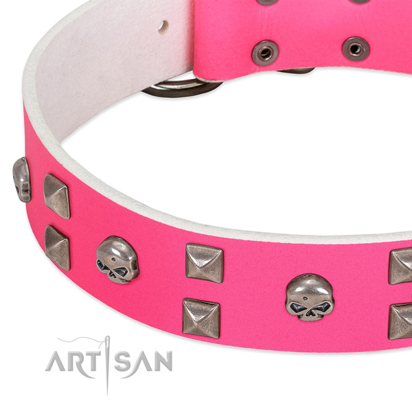 Full grain leather collar with exceptional adornments for your doggie
