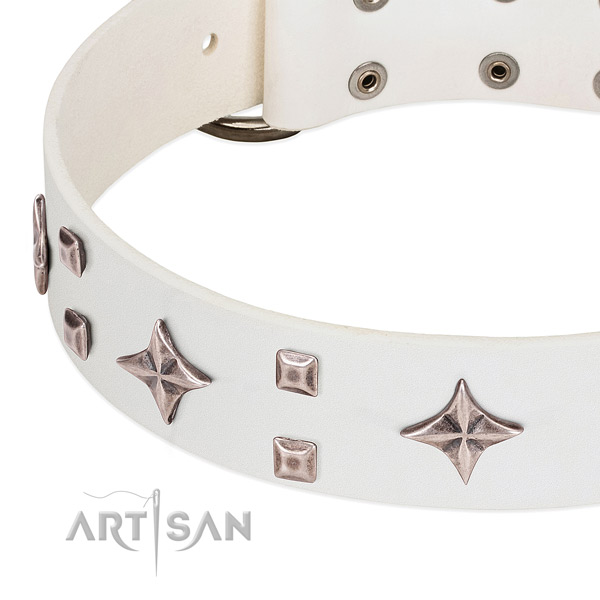 Trendy full grain genuine leather dog collar for comfy wearing