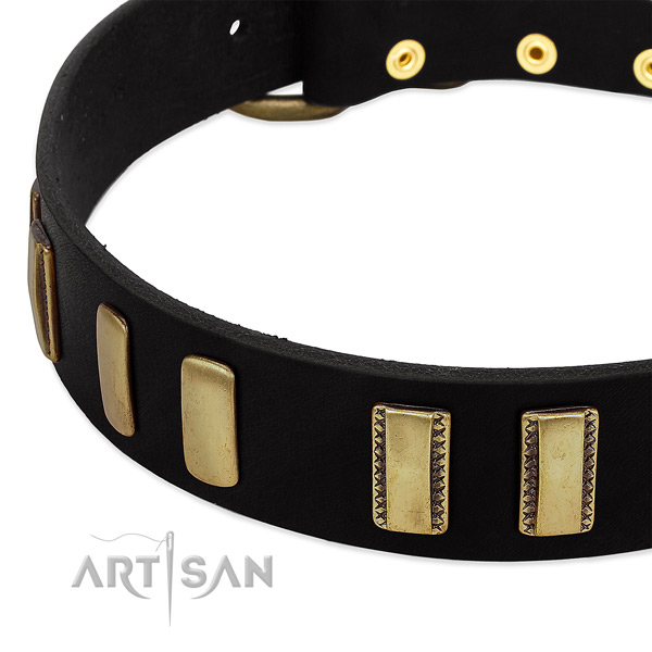 Genuine leather dog collar with rust-proof hardware for daily walking