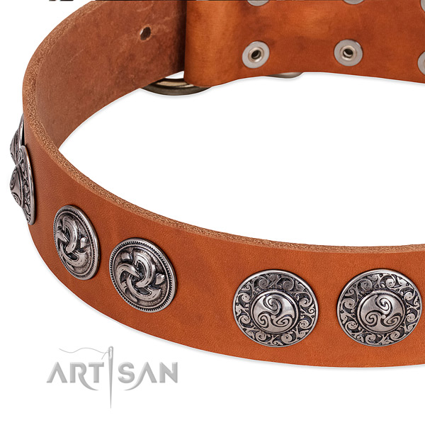 Comfortable genuine leather dog collar for everyday walking