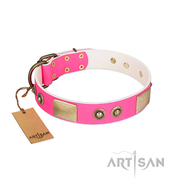 Durable traditional buckle on genuine leather dog collar for your pet