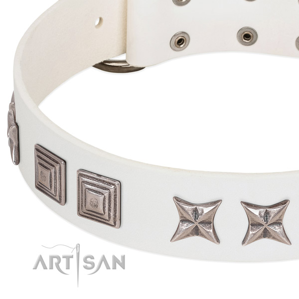 Daily walking full grain genuine leather dog collar with trendy decorations