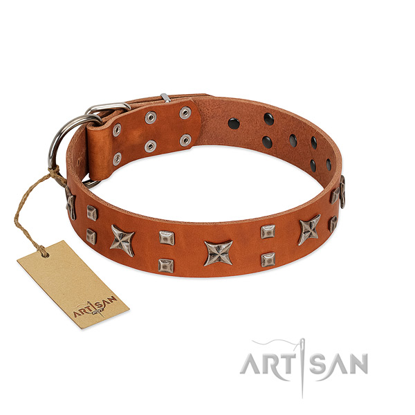 Reliable natural leather dog collar with decorations for comfy wearing