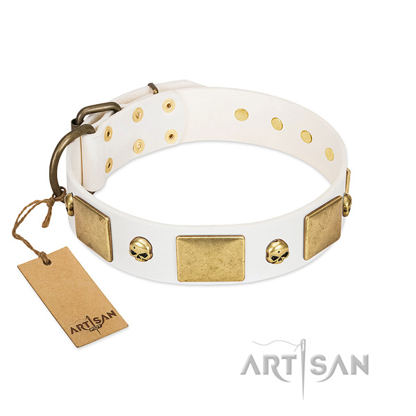 Best quality leather collar handmade for your four-legged friend