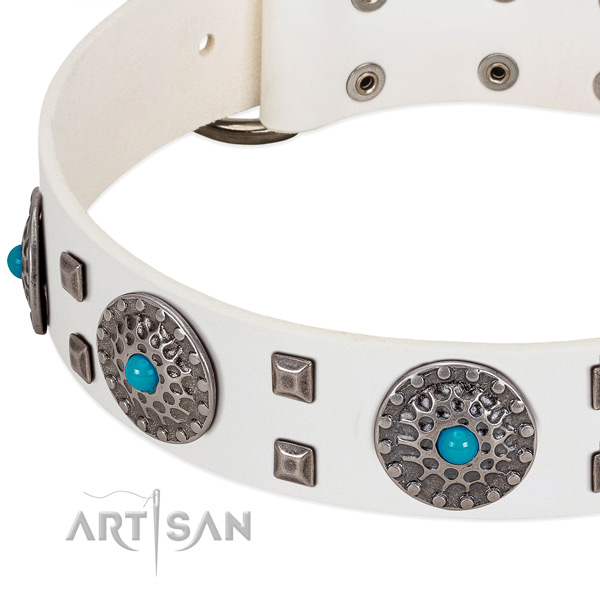Flexible genuine leather dog collar with stunning embellishments