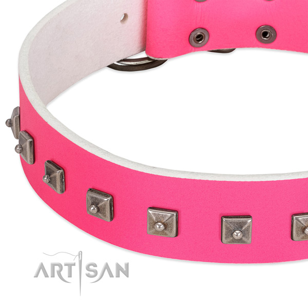 Soft leather dog collar with remarkable studs