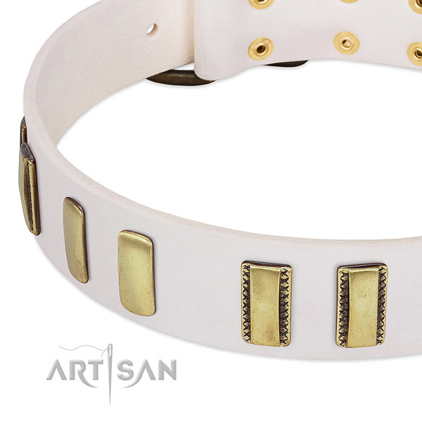 Quality natural leather dog collar with decorations for fancy walking