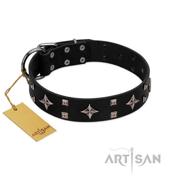 Awesome leather collar for your canine walking in style