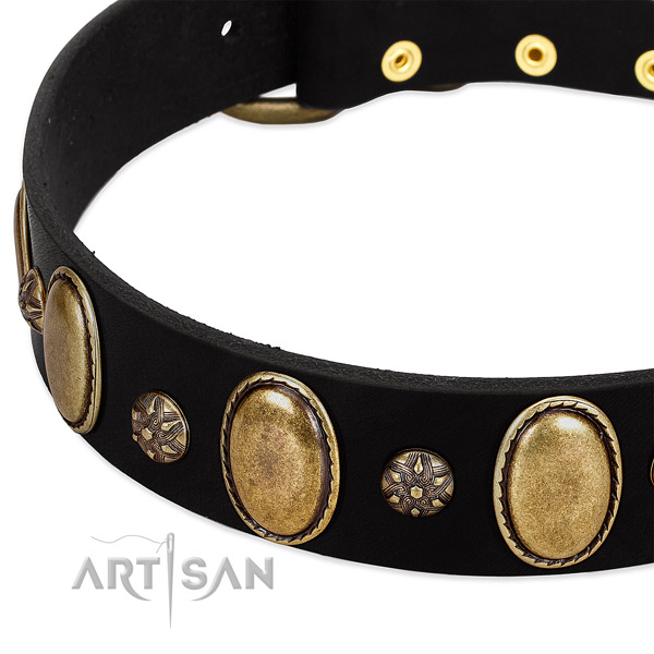 Fancy walking soft leather dog collar
