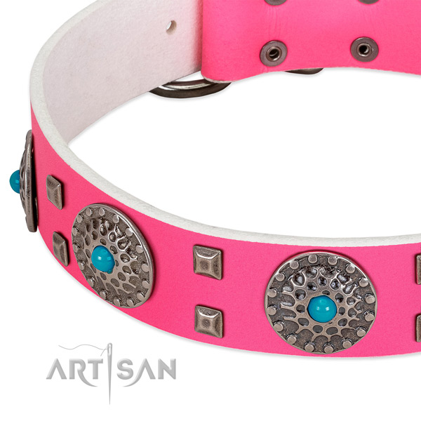 Top notch genuine leather dog collar with impressive adornments