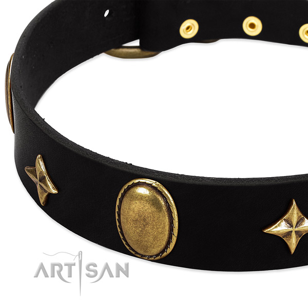 Best quality leather collar with corrosion resistant studs for your doggie