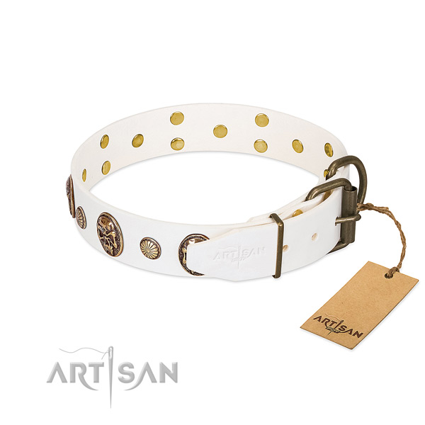 Rust-proof hardware on full grain genuine leather collar for basic training your doggie