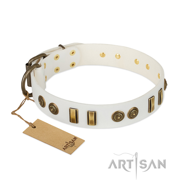 Corrosion resistant hardware on leather dog collar for your pet