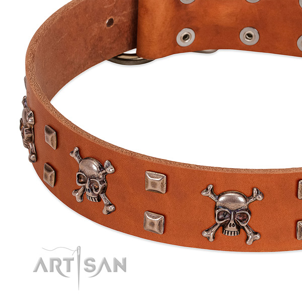 Stunning full grain natural leather collar for your canine