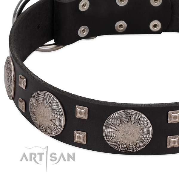 Amazing full grain genuine leather dog collar with rust resistant traditional buckle