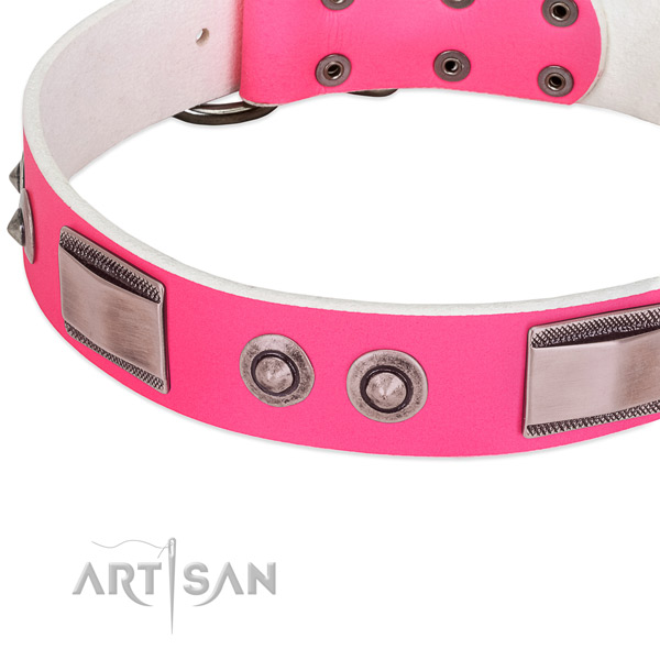 Awesome full grain leather collar with embellishments for your four-legged friend