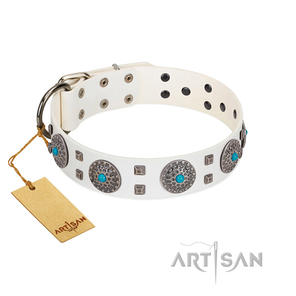 Stylish walking leather dog collar with stylish decorations