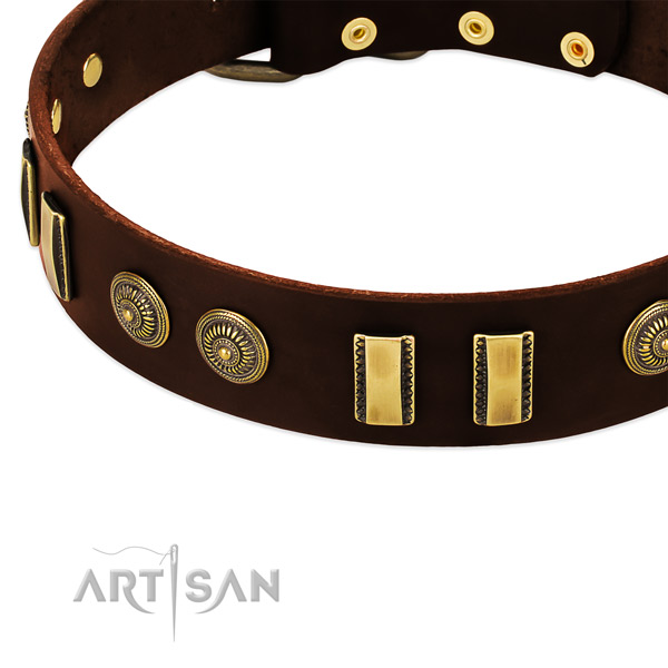 Strong embellishments on full grain leather dog collar for your pet