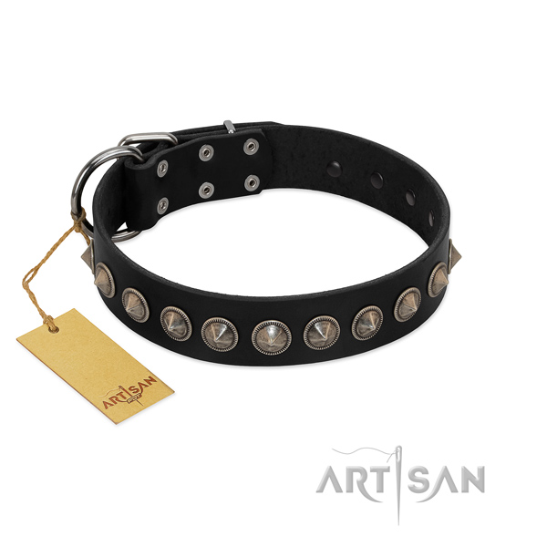 Reliable genuine leather dog collar with trendy decorations