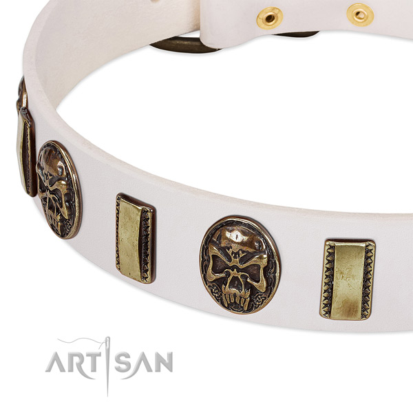 Strong embellishments on full grain leather dog collar for your doggie