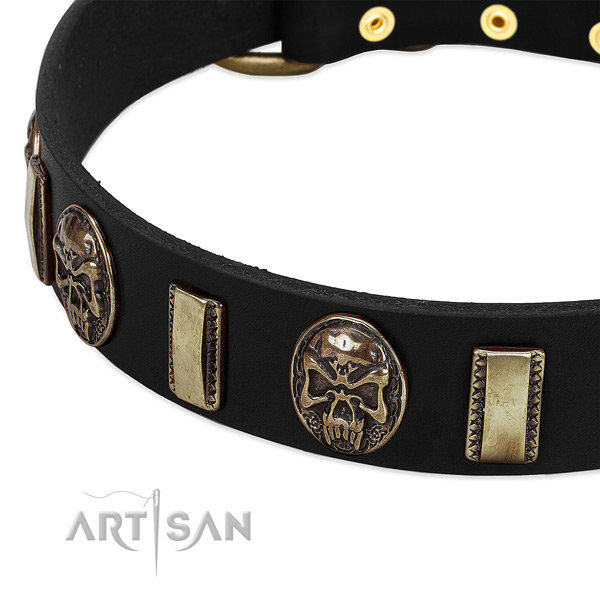 Rust resistant adornments on leather dog collar for your doggie
