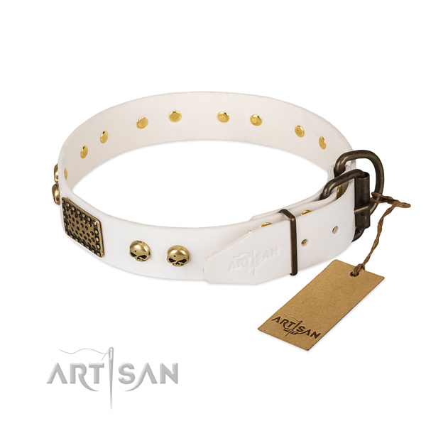 Easy wearing natural leather dog collar for everyday walking your dog