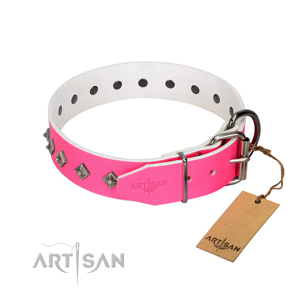 Full grain leather dog collar with stylish design adornments for your dog