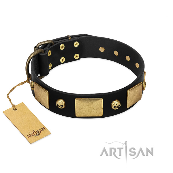 Rust-proof traditional buckle on dog collar for walking