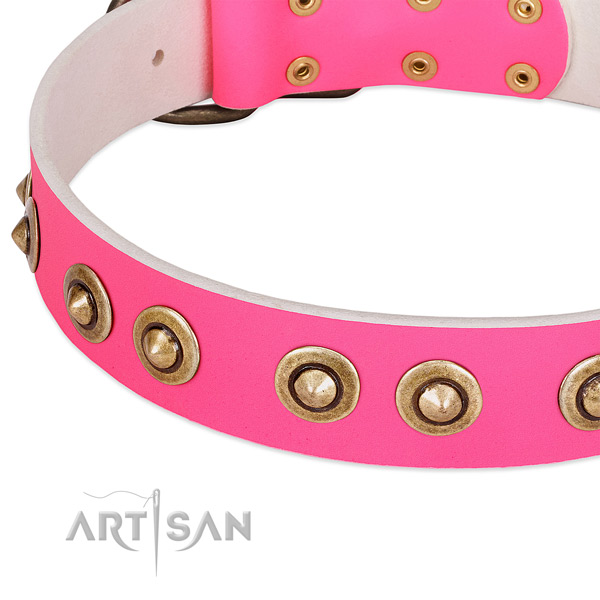 Corrosion resistant embellishments on full grain natural leather dog collar for your pet
