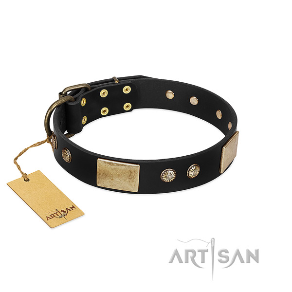 Top notch genuine leather dog collar for daily walking