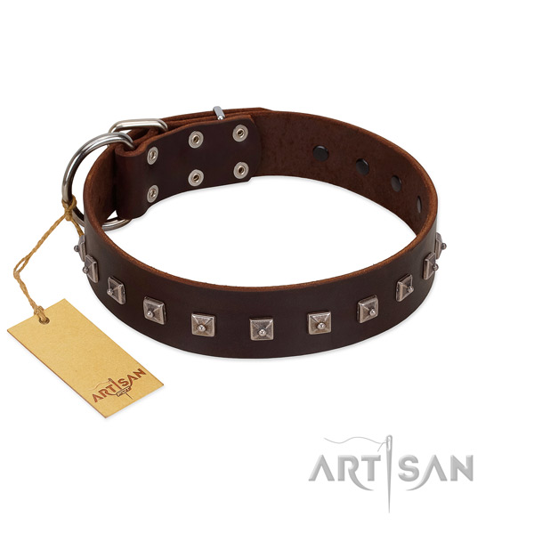 Exquisite studded leather dog collar