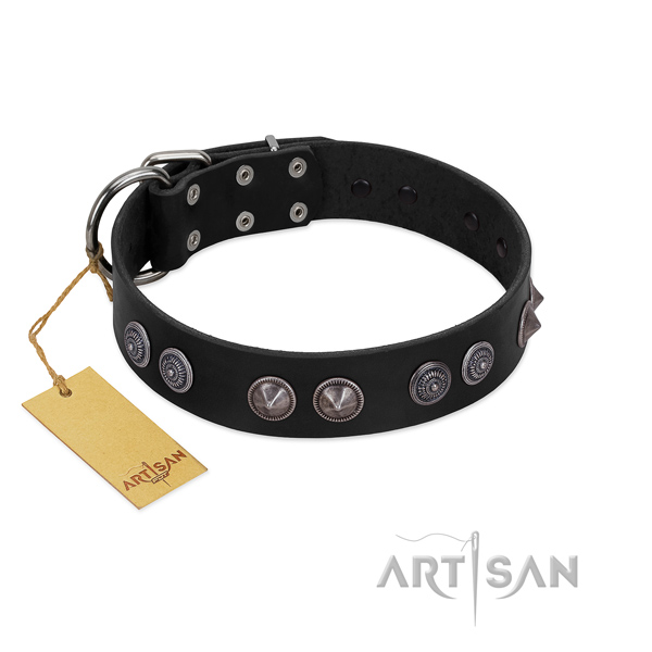 Rust resistant fittings on best quality genuine leather dog collar