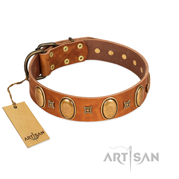 Genuine leather dog collar with stunning adornments for daily walking