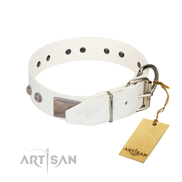 Daily walking dog collar of leather with designer adornments