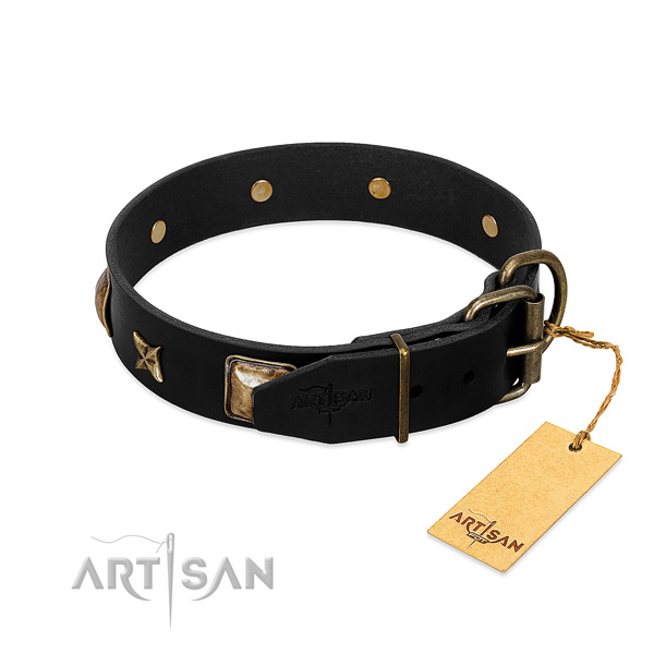 Corrosion proof D-ring on full grain natural leather collar for fancy walking your doggie