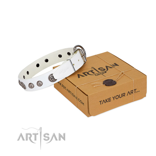 Soft leather dog collar crafted for your pet